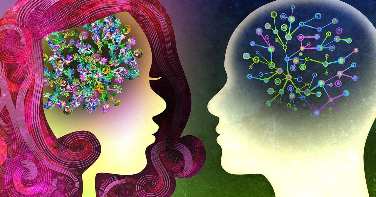 Мозг мужчины и мозг женщины: основные различия
